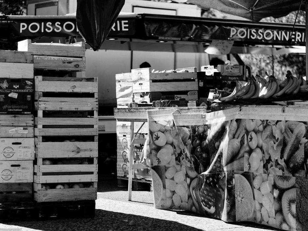 ជម្រើសទីកន្លែងលក់ផ្លែឈើស្លតដ៏ល្អបំផុតនៅកម្ពុជា