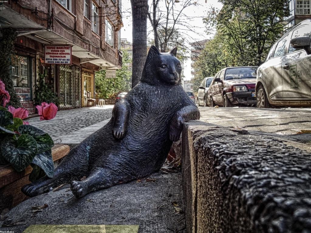 អត្ថប្រយោជន៍នៃផ្លែឈើស្លត​​