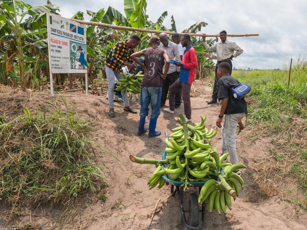 វិធីធ្វើផ្លែឈើស្លតជាមួយផ្លែឈើផាសុខភាព