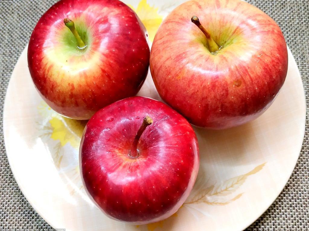 ទីកន្លែងលក់ផ្លែឈើស្លតដែលអ្នកមិនគួរបន្ថែម