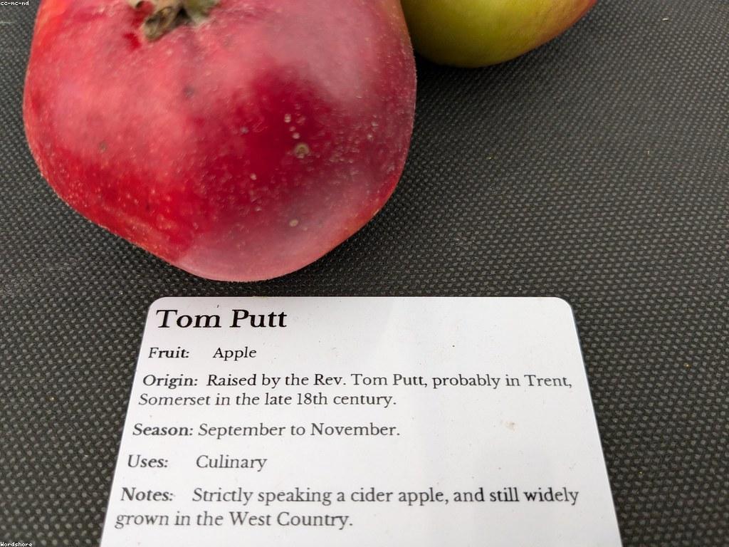 ការស្រាវជ្រាវផ្លែឈើស្លតនៅកម្ពុជា