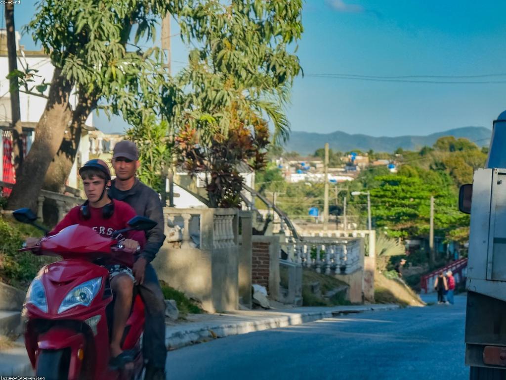 ការស្រាវជ្រាវផ្លែឈើស្លតក្នុងតំបន់ត្រូពីកល