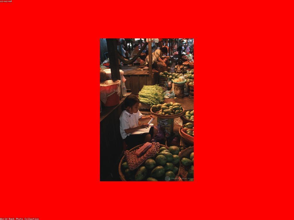 ការស្រាវជ្រាវផ្លែឈើស្លតនៅកម្ពុជា